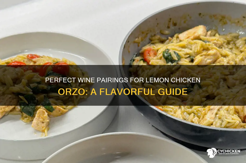 what wine to pair with lemon chicken orzo