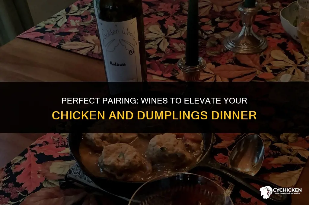 what wine to serve with chicken and dumplings