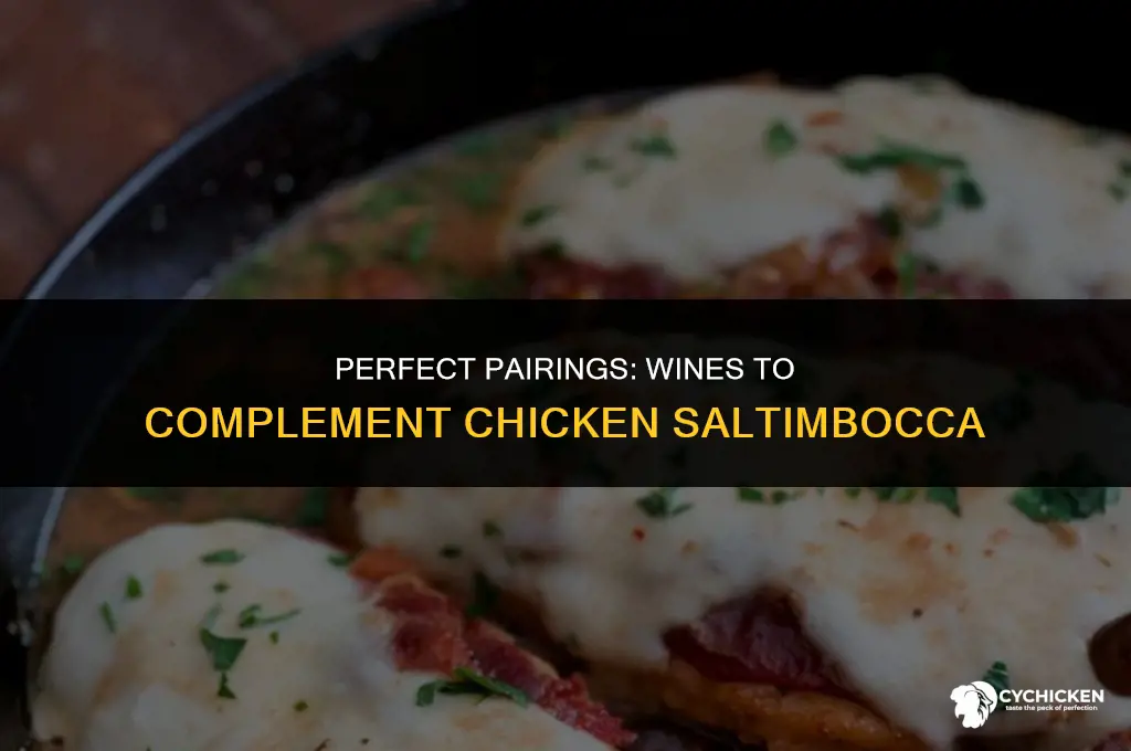 what wine to serve with chicken saltimbocca