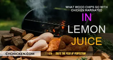 Best Wood Chips for Lemon Chicken