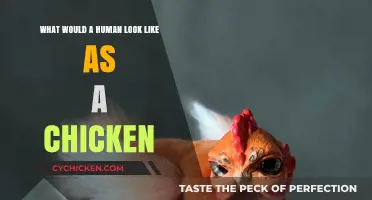 Clucks and Curls: Imagining Humans Transformed into Chickens