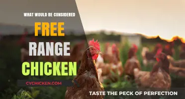 Understanding Free Range Chicken Standards and Practices for Ethical Farming