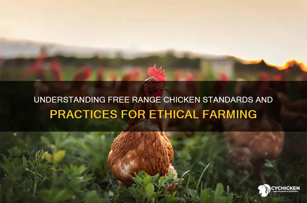 what would be considered free range chicken