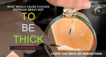 Why Your Chicken Paprikash Gravy Isn't Thickening