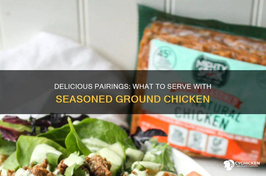 what would go with nreaded ground chicken