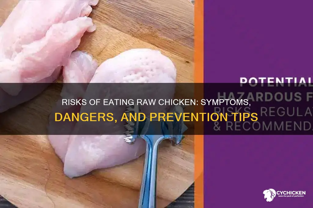 what would happen if i ate raw chicken
