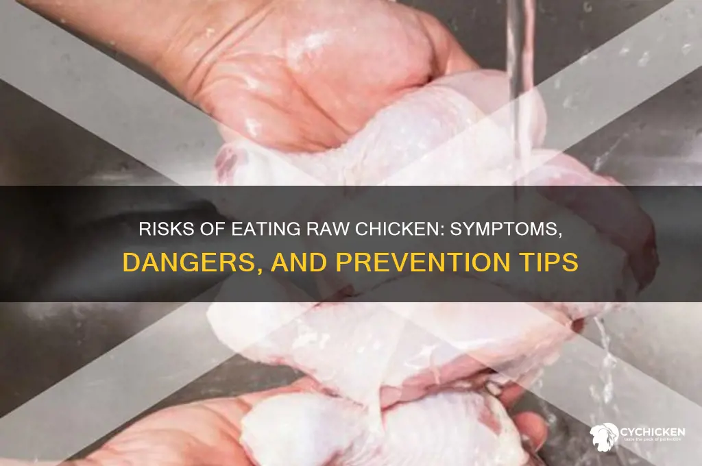 what would happen if you ate raw chicken