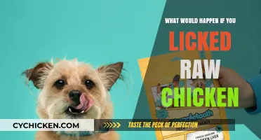 Licking Raw Chicken: Risks, Consequences, and Why You Should Avoid It