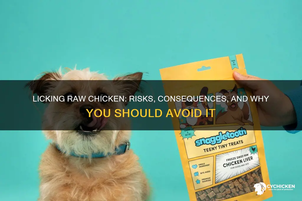 what would happen if you licked raw chicken