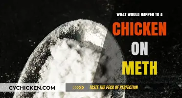 Meth's Impact on Chickens: Unraveling the Effects of Stimulants