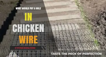 What Can Easily Damage Chicken Wire: Common Culprits and Prevention Tips
