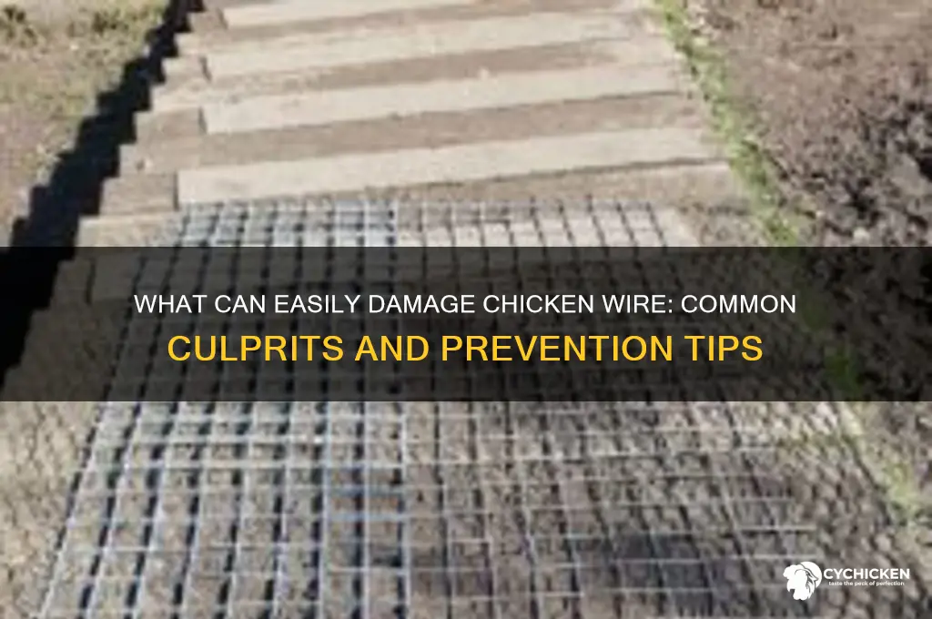 what would put a hole in chicken wire