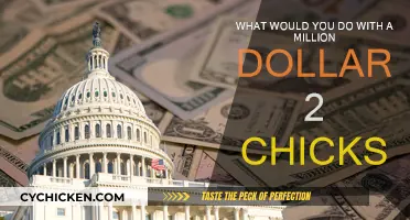 How I'd Spend a Million Dollars and Two Chicks