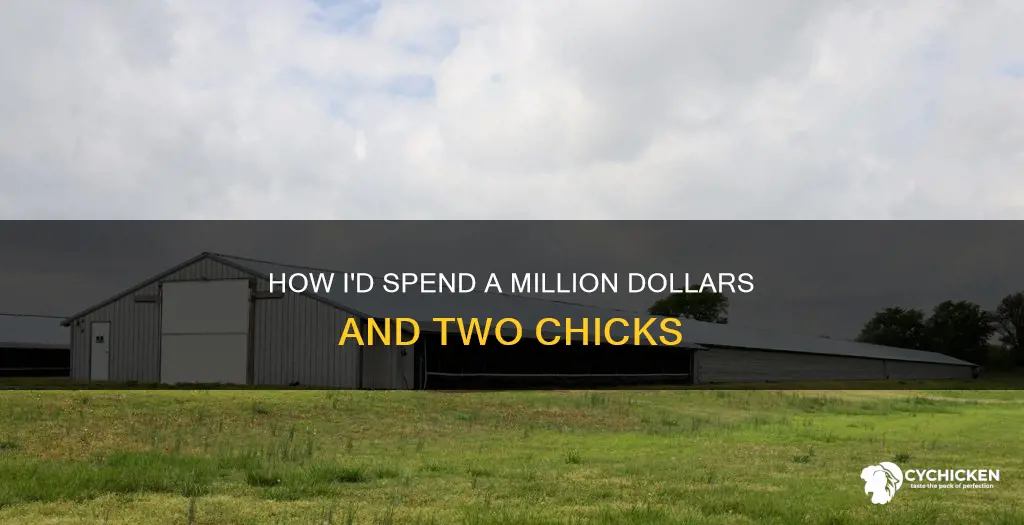 what would you do with a million dollars 2 chicks
