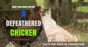 When Did Defeathered Chickens Become Available for Purchase?