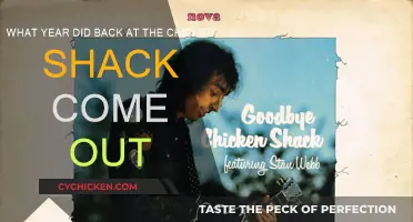 The Year of Back at the Chicken Shack's Release