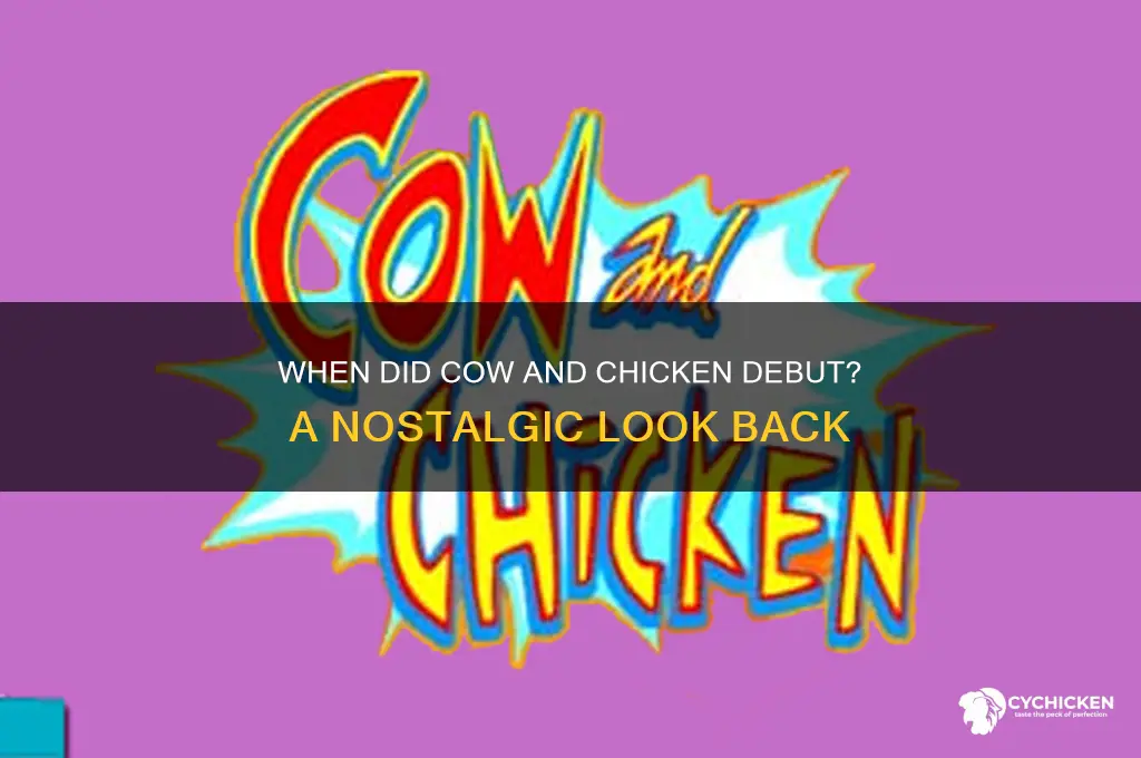 what year did cow and chicken come out
