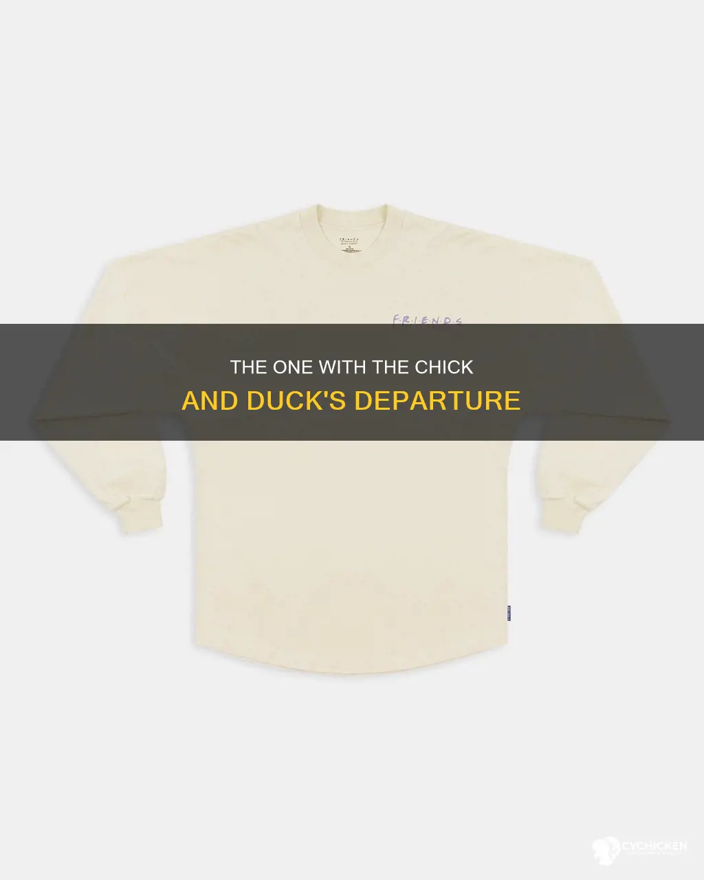 what year did the chick and duck leave friends
