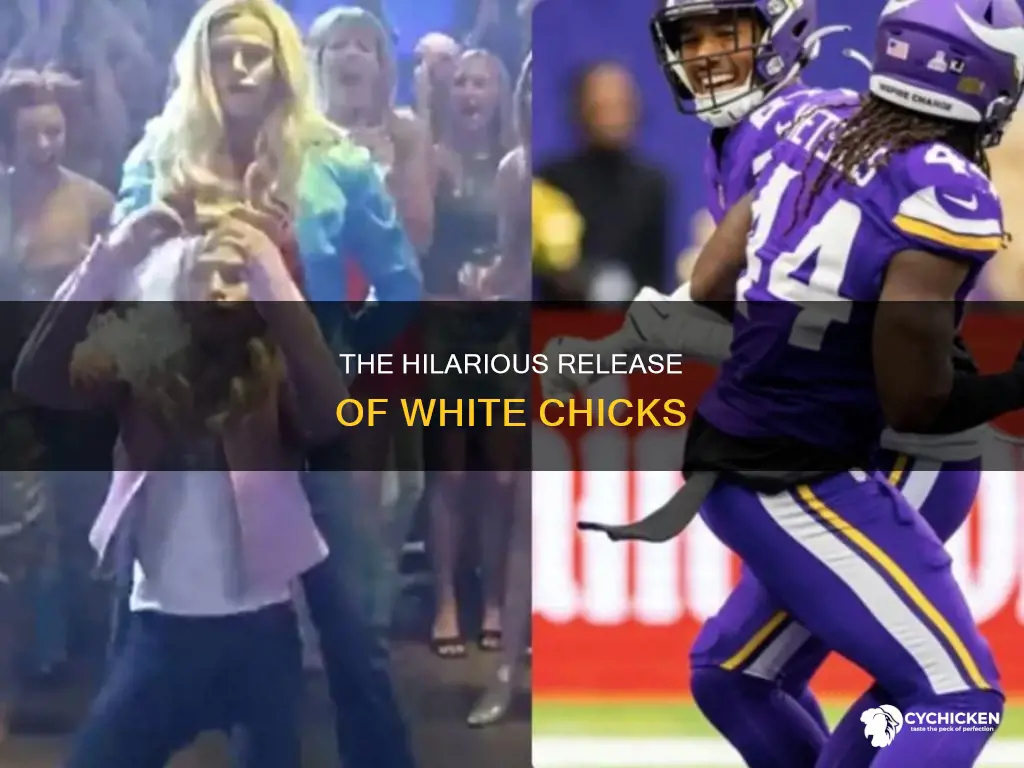 what year did the movie white chicks come out