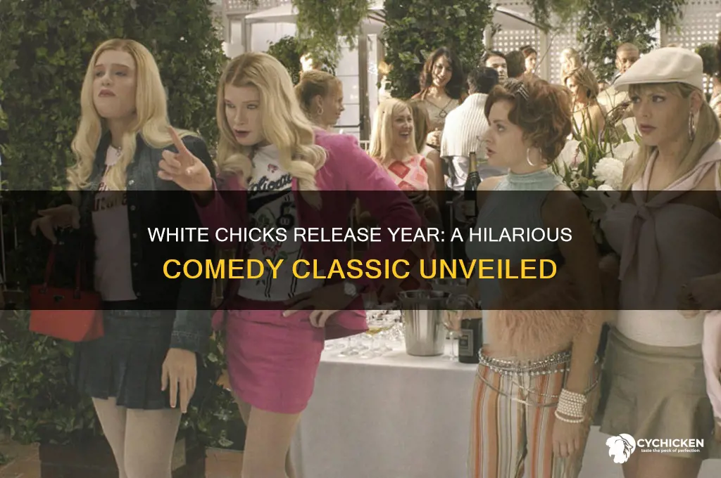 what year did white chicks come out