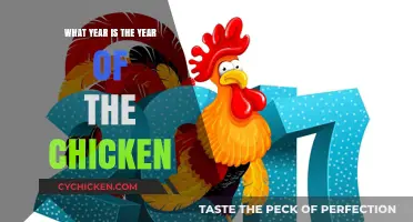 Discovering the Year of the Chicken in the Chinese Zodiac Cycle