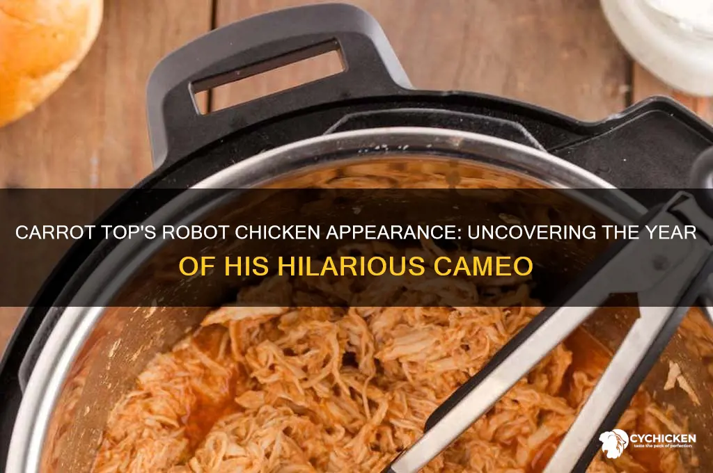 what year was carrot top on robot chicken