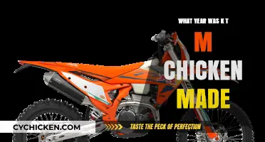 Uncovering the Origins: The Year KTM Chicken Was Created