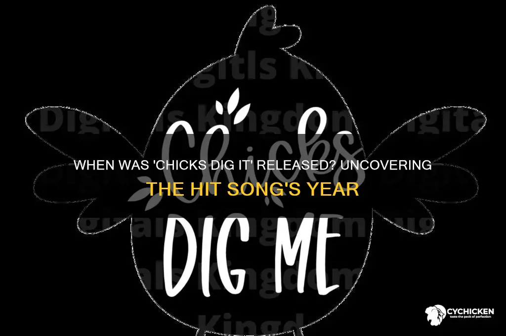 what year was song chicks dig it