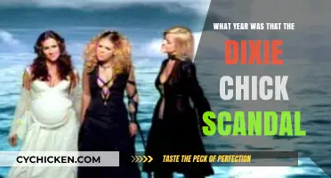 The Dixie Chicks Scandal: Unraveling the Year of the Controversy
