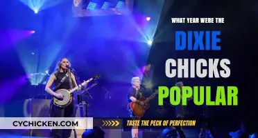 When Did the Dixie Chicks Rise to Fame and Dominate Charts?