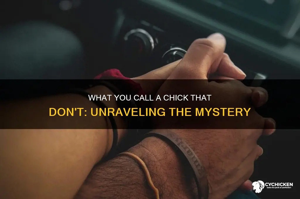 what you call a chick that don