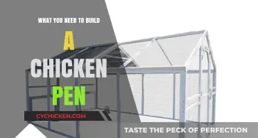 Essential Supplies for Constructing a Secure and Spacious Chicken Pen