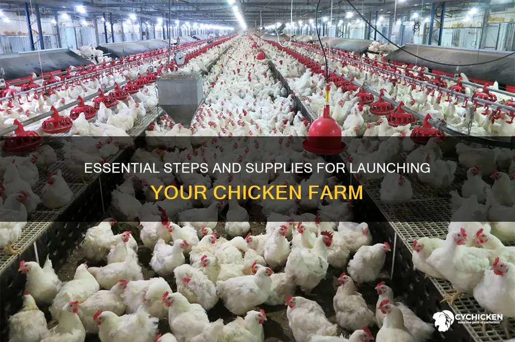 what you need to start a chicken farm