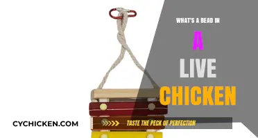 Understanding the Mystery of a Bead in a Live Chicken