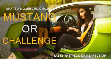 Muscle Cars: Mustang or Challenger for Attracting Attention?