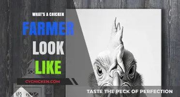 What Does a Chicken Farmer Look Like? Unveiling the Faces Behind the Flock