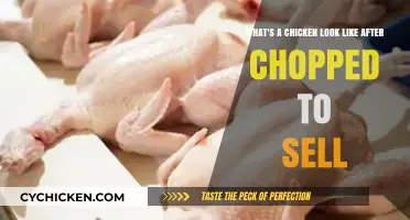 From Farm to Market: Visual Guide to Processed Chicken for Sale
