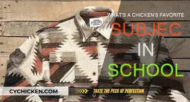 Chickens' Favorite School Subject: Cracking the Code