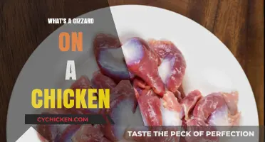Understanding the Chicken Gizzard: Function, Benefits, and Culinary Uses