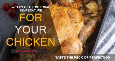 Ensuring Safe Chicken: Target Internal Temperature
