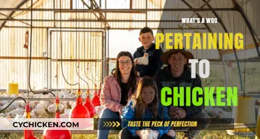 Understanding WQG: Its Role in Chicken Farming and Food Safety