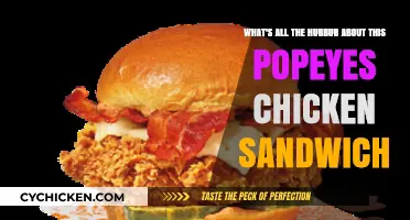 Popeyes Chicken Sandwich Craze: Unraveling the Hype and Flavor Frenzy