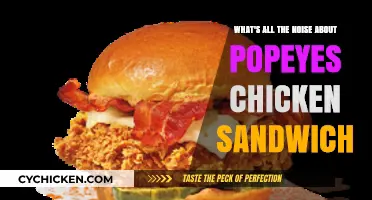 Popeyes Chicken Sandwich Craze: Unraveling the Hype and Flavor Frenzy
