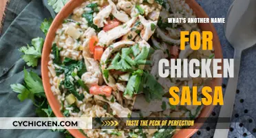 Chicken Salsa Alternative: Discover a Tasty Twist on a Classic Dish