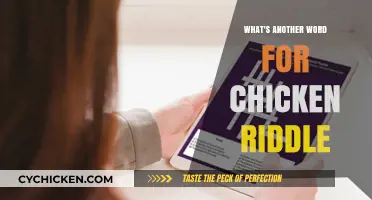 Unraveling the Poultry Puzzle: What's Another Word for Chicken Riddle?