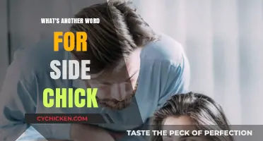 Exploring Synonyms for 'Side Chick': Redefining Relationships and Respect