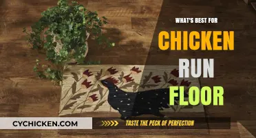 Ideal Chicken Run Flooring: Top Materials for Health and Durability