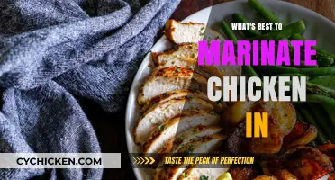 Perfect Chicken Marinades: Top Tips for Juicy, Flavorful Results