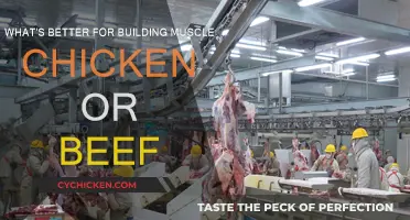 Building Muscle: Chicken vs Beef