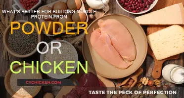 Protein Powder vs. Chicken: Which Builds Muscle Better?